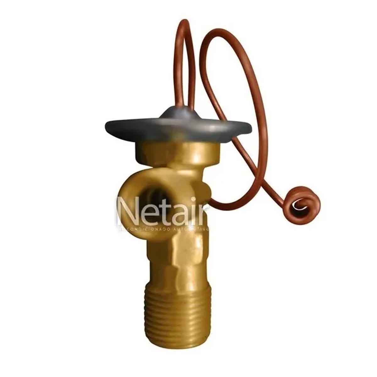 Válvula Expansão Caximbo Renault Master 2013 a 2017 CXA Traseira Original