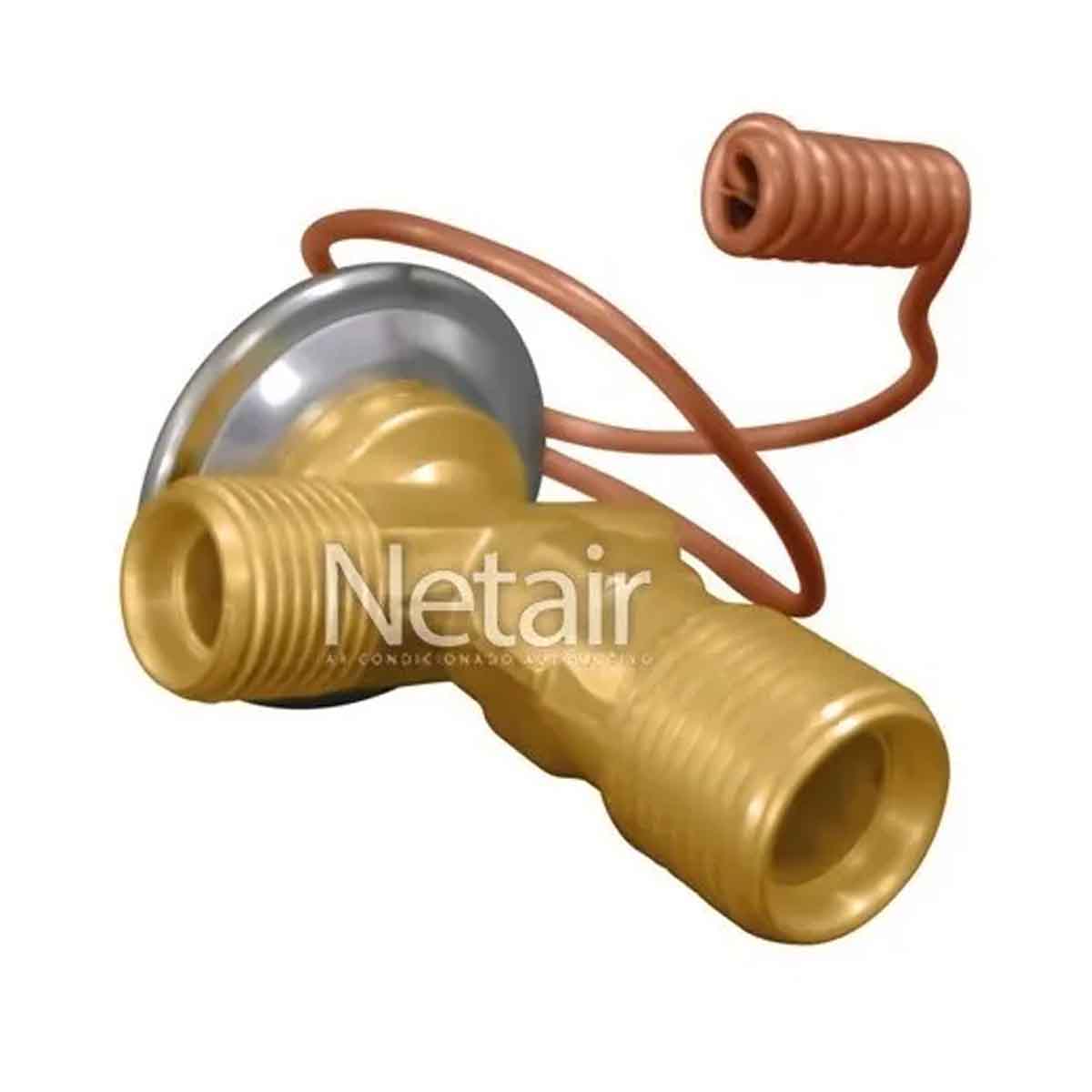 Válvula Expansão Caximbo Renault Master 2013 a 2017 CXA Traseira Original