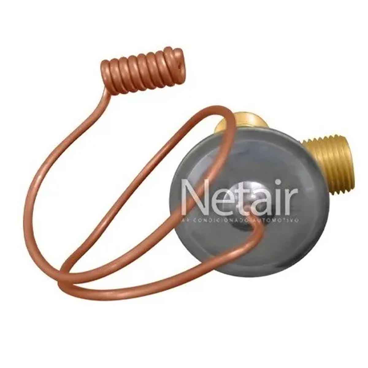 Válvula Expansão Caximbo Renault Master 2013 a 2017 CXA Traseira Original